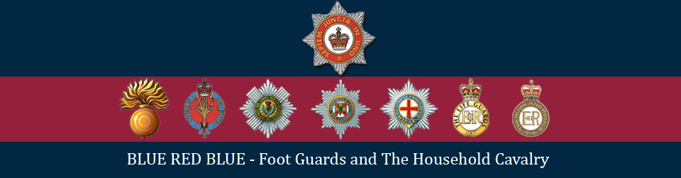 7 regiments of the household division including the scots and irish guards